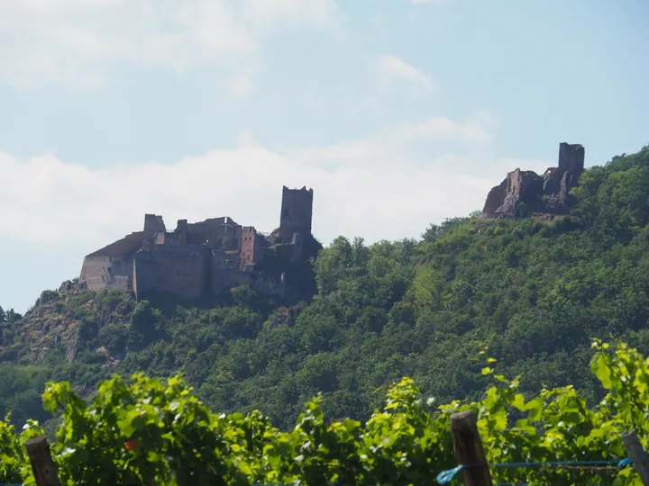 Saint-ulrich castle in Ribeauville, Elzas (Frankrijk)